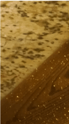 Attic Mold Prevention